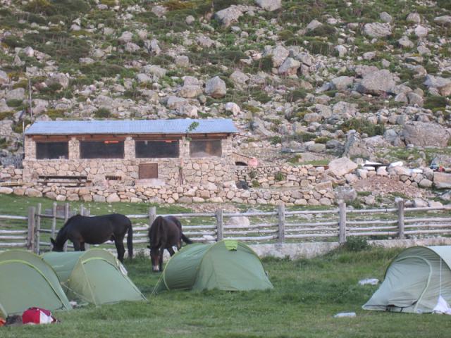 Refuge de l'Onda - Quelqu'un a oublié de fermer l'enclos, les mules en profitent