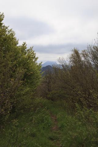 Vue sur le Puy Chopine et le Puy de Dôme au sommet du Puy de Louchadière